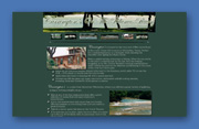 Carrington's Web Site Design - Wimberley, Texas